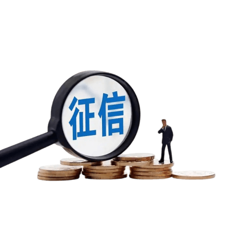 人民银行征信详情版查询